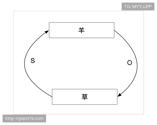 草坪场地规则拆解：标准尺寸与质量对比赛判罚有何影响